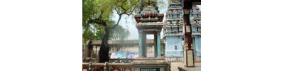 143. திருமருகலும் செங்காட்டக்குடியும்